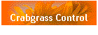Crabgrass Control