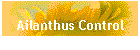 Ailanthus Control