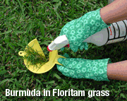 IsoWeeder Herbicide Spray Shield